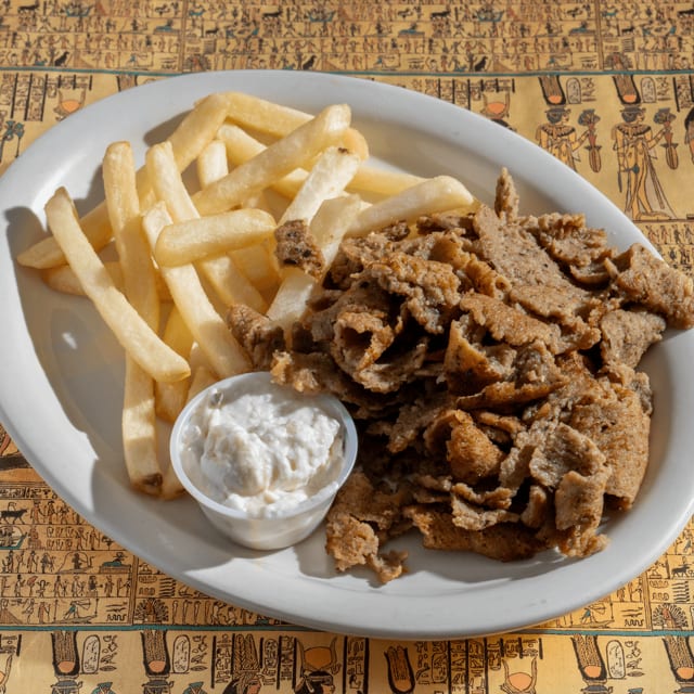 Gyro Plate.
